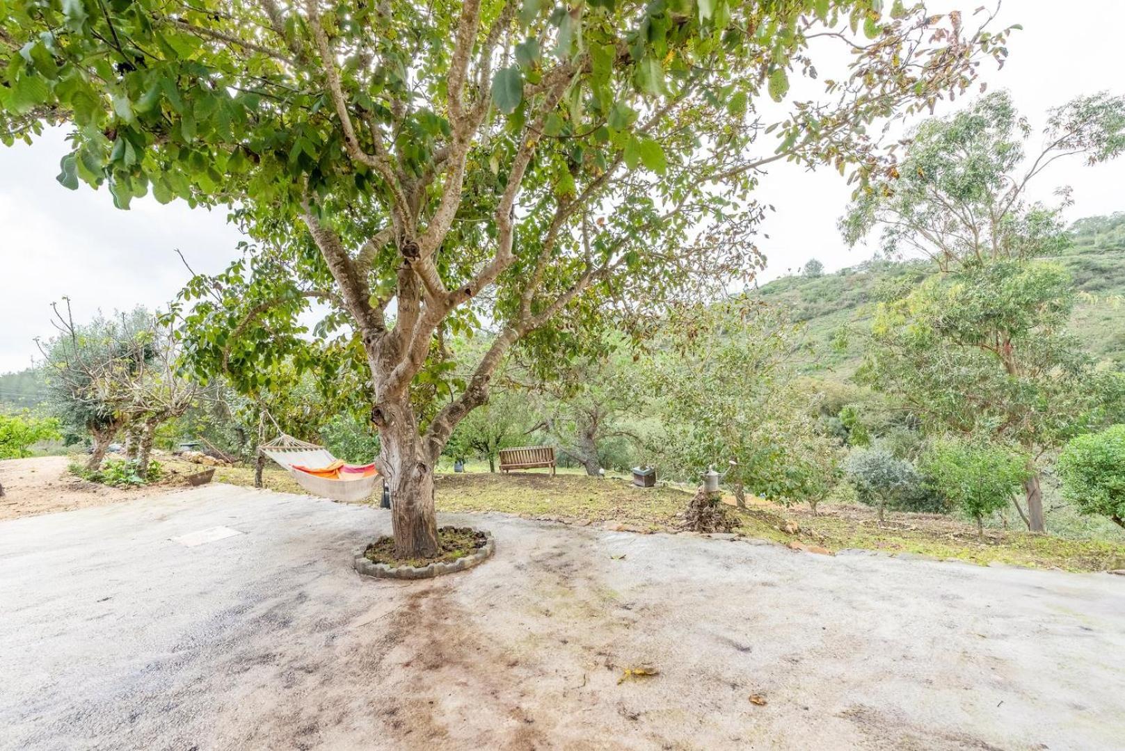 Countryside Paradise In Bucelas Εξωτερικό φωτογραφία
