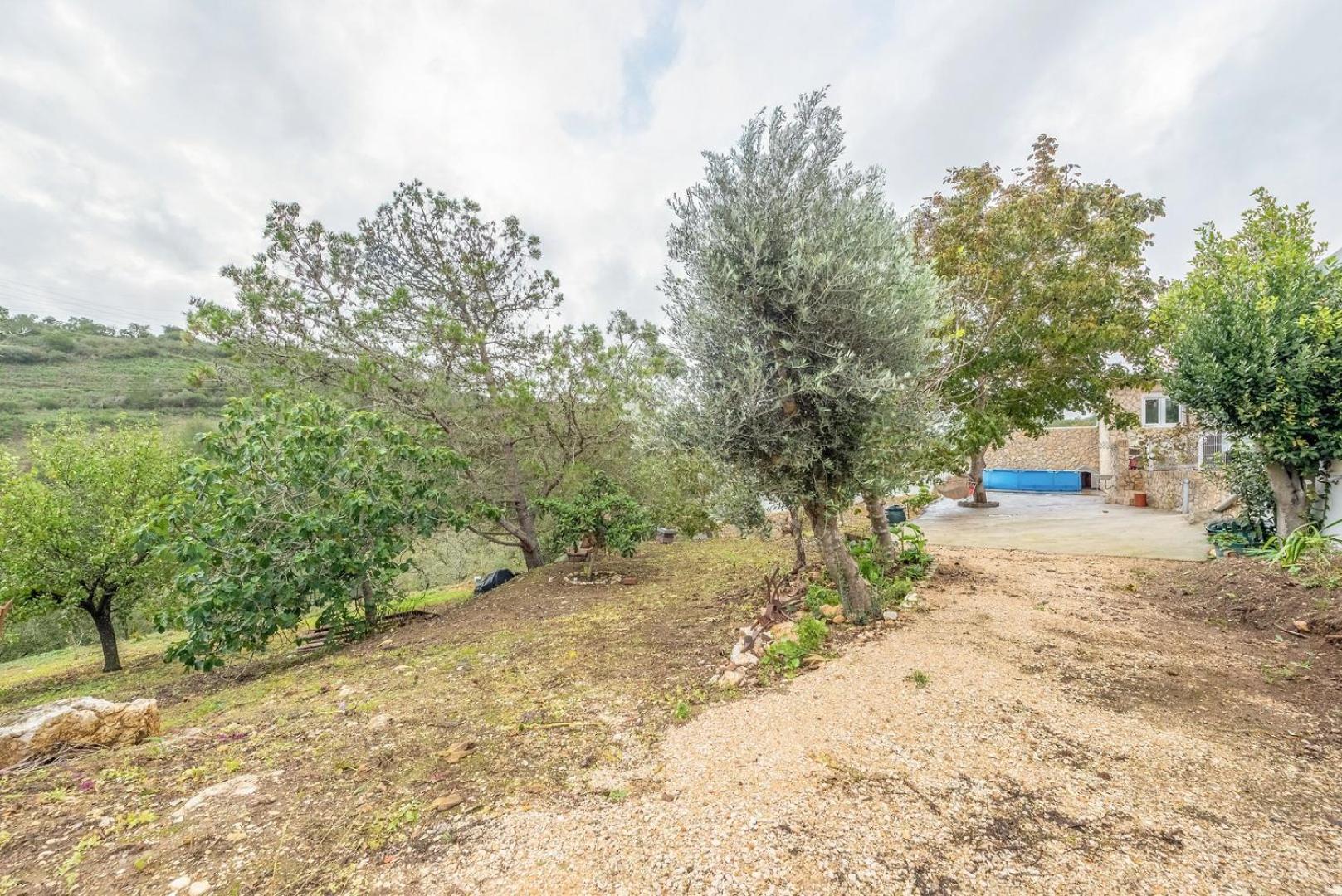 Countryside Paradise In Bucelas Εξωτερικό φωτογραφία